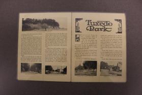 Document, Advertisement