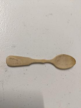 Spoon, Mustard