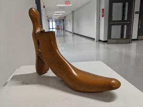 Shoe Trees