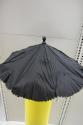 Parasol