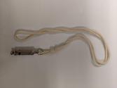 Whistle