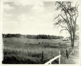 4th Line Near Railway Tracks: Facing East