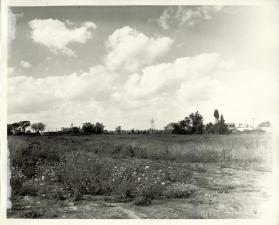 Speers Rd. at Corner of Woody Rd: Looking North (Right of Picture) MacDonald Welding Bldg. (Left of Picture) Duplate of Canada
