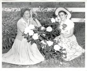 Garden Tour