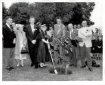 Planting of Centennial Oak