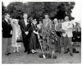 Planting of Centennial Oak