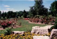 Shell Park, Rose Garden
