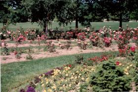 Shell Park, Rose Garden