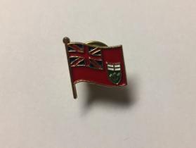 Flag of Ontario pin